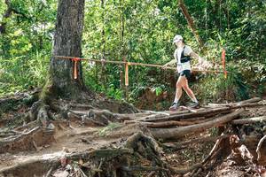 BIB: 
                            <button type="button" onclick="openModal(27717529)" class="btn btn-primary btn-sm float-right btn-popup" data-toggle="modal" data-target=".modal-high-quality">
                        <i class="fas fa-shopping-cart"></i> Add to Cart
                    </button>
                                            <button type="button" onclick="isThisMe(27717529, true)" class="btn btn-success btn-sm float-right btn-popup btn-isme hidden" data-toggle="tooltip" data-placement="bottom" title="นี่คือรูปของคุณใช่ไหม คลิกที่นี่เพื่อเอาเข้าอัลบั้ม">
                        <i class="fas fa-plus"></i> Add to album
                    </button>
                    <button type="button" onclick="isThisMe(27717529, false)" class="btn btn-warning btn-sm float-right btn-popup btn-isnotme hidden">
                        <i class="fas fa-ban"></i> Remove from album
                    </button>